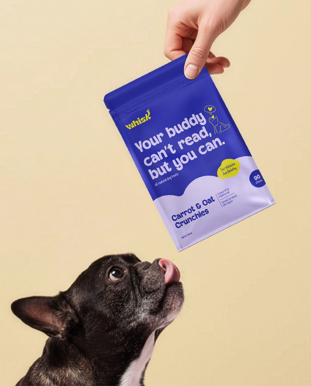 Hand holding a Whisk pet treat pouch above a French bulldog looking up